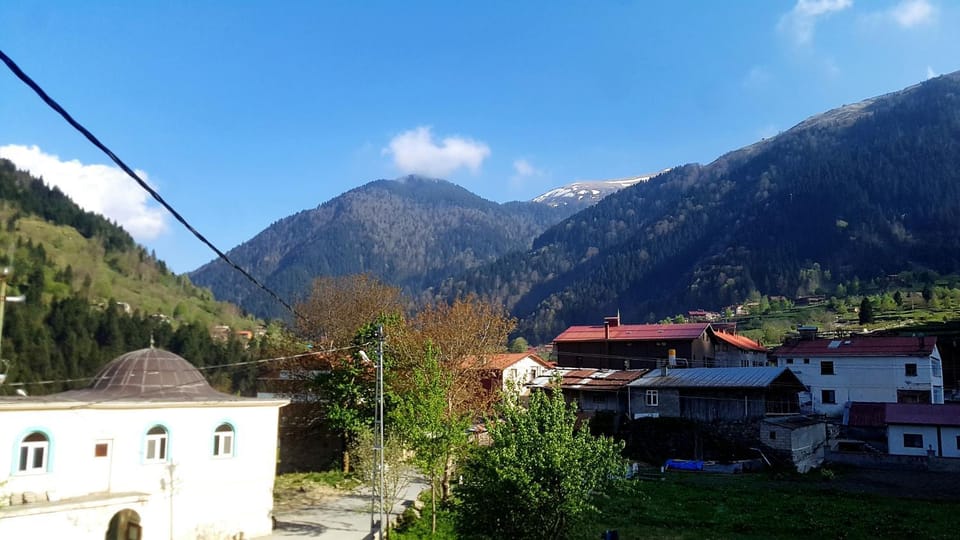 Mountain view