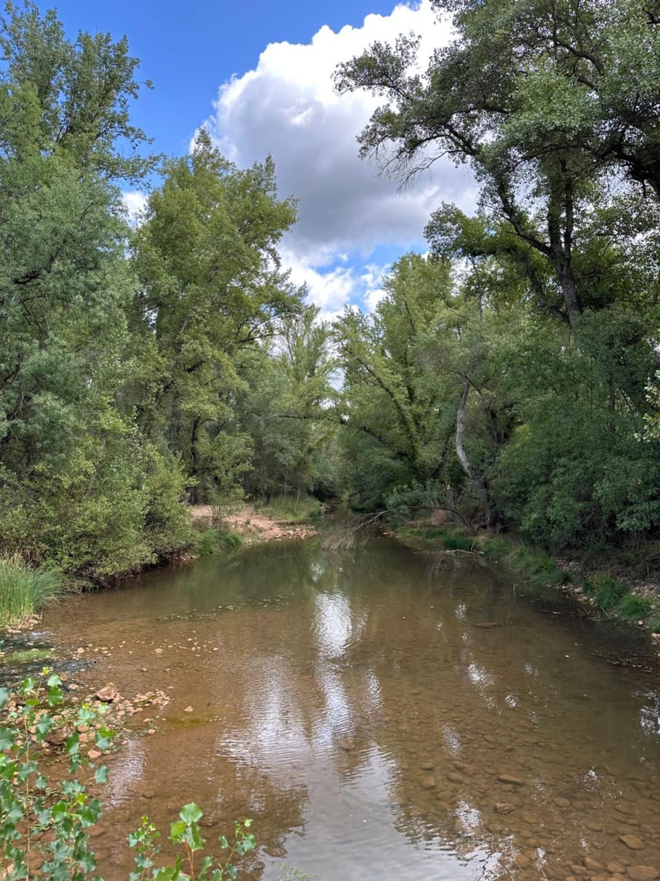 Natural landscape, River view