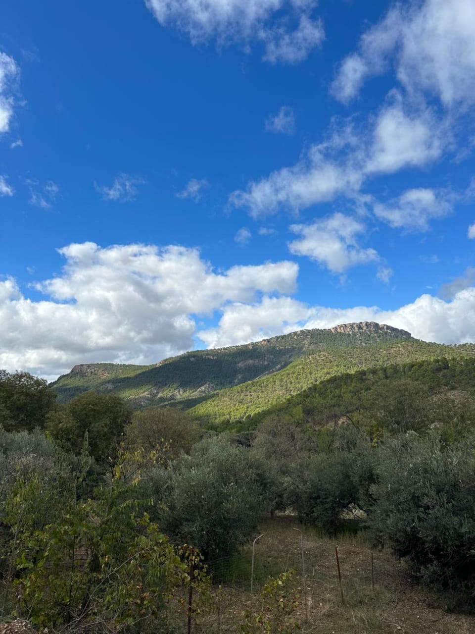 Natural landscape