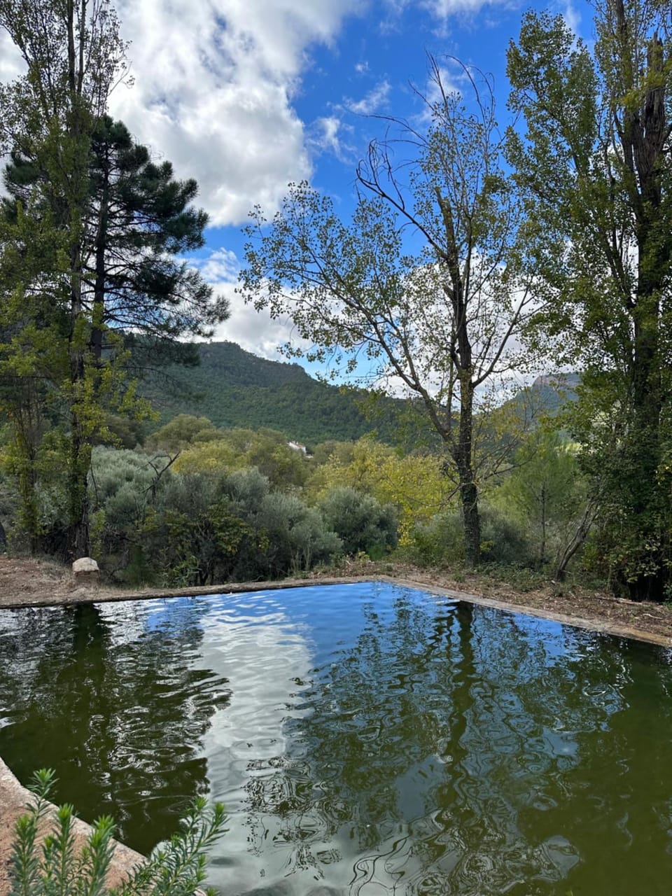 Natural landscape