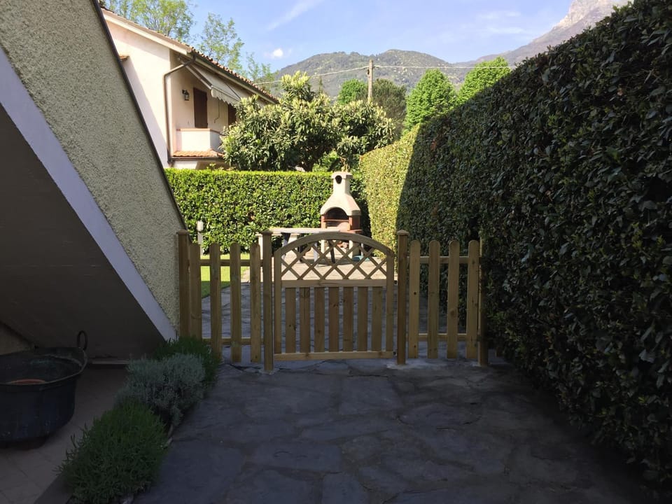 Patio, Spring, Day