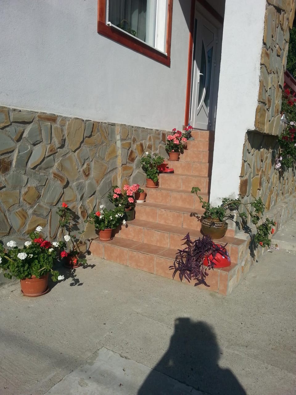 Pensiunea Agroturistica Ioana Farm Stay in Romania