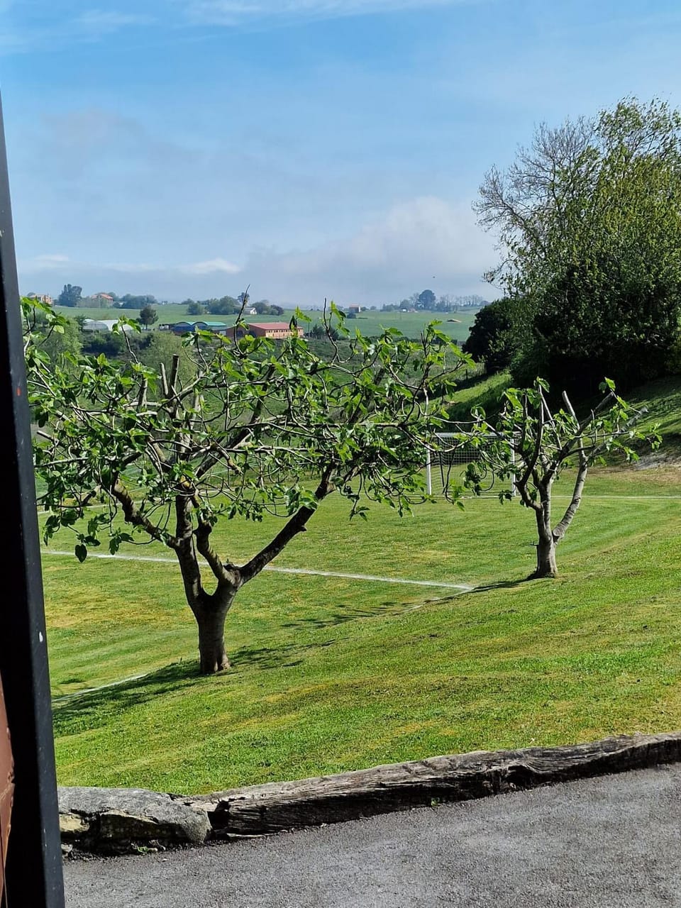 View (from property/room)