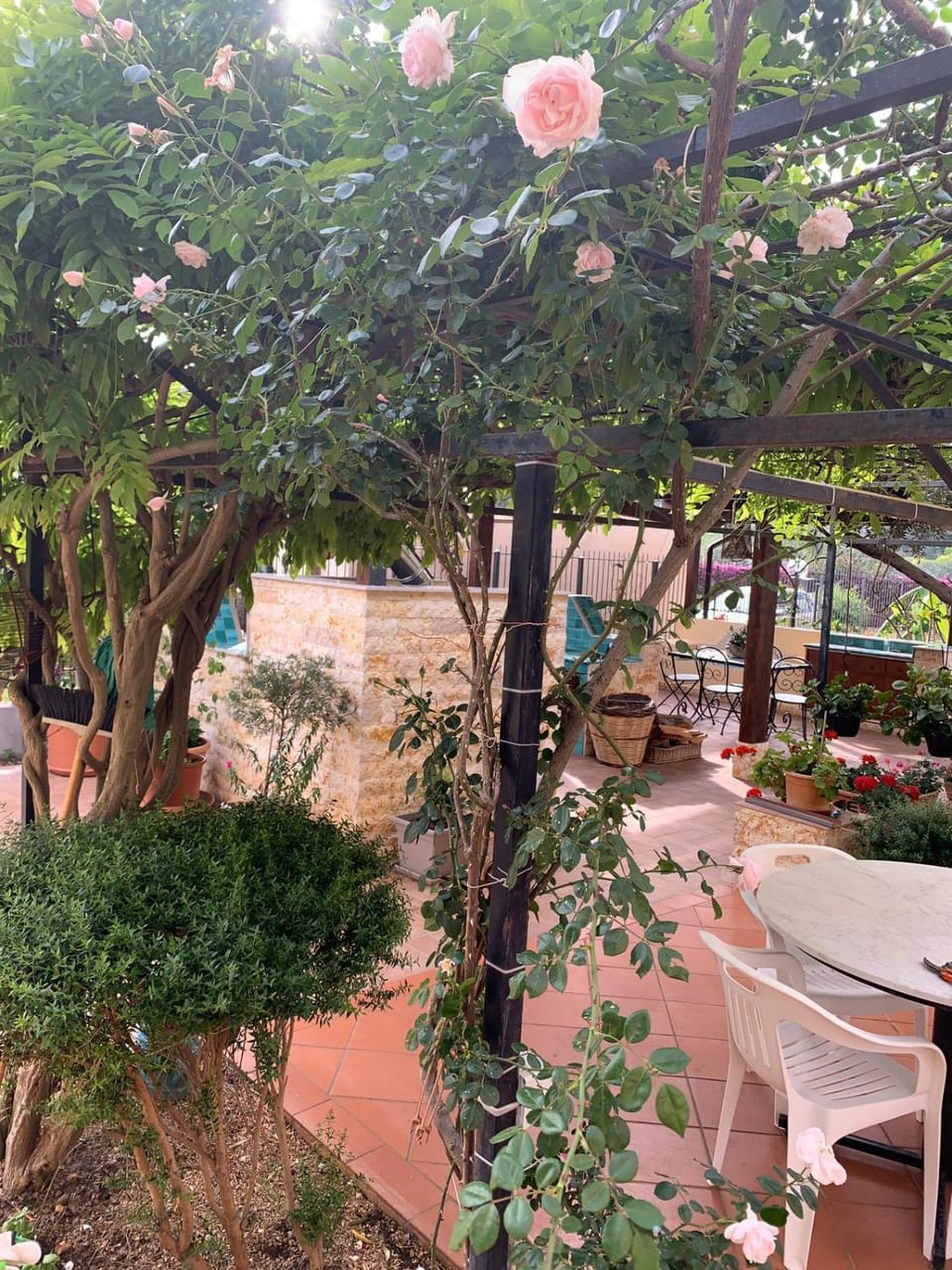 Garden view