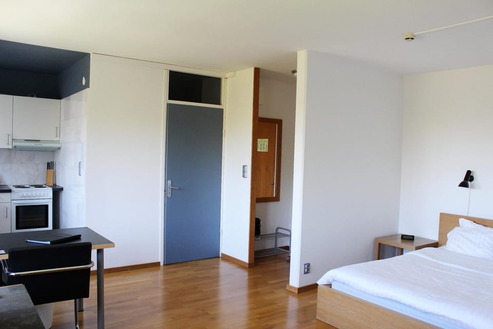 Kitchen or kitchenette, Living room, Dining area, Bedroom