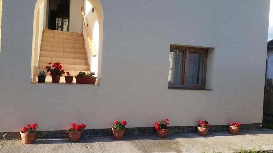 Pensiunea agroturistica "Cheile Cibului" Farm Stay in Romania
