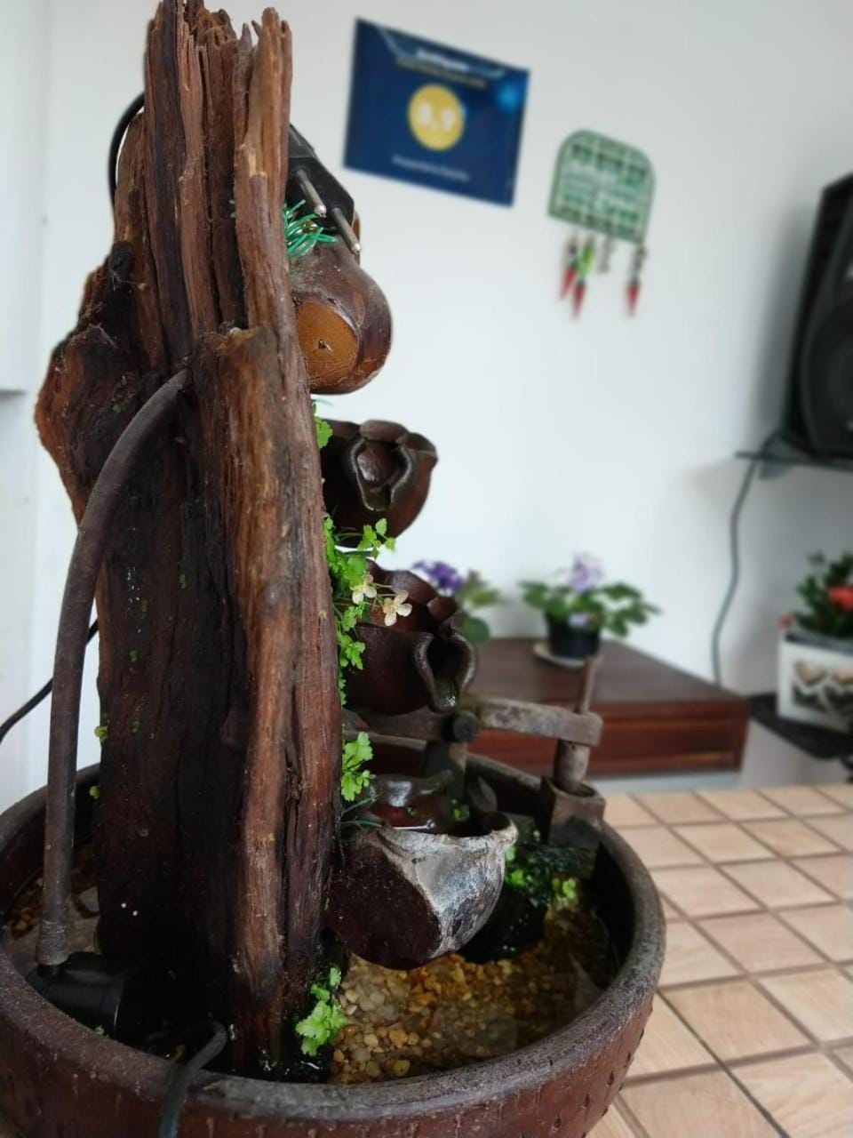 Hospedaria Gaúcha Bed and Breakfast in Penha