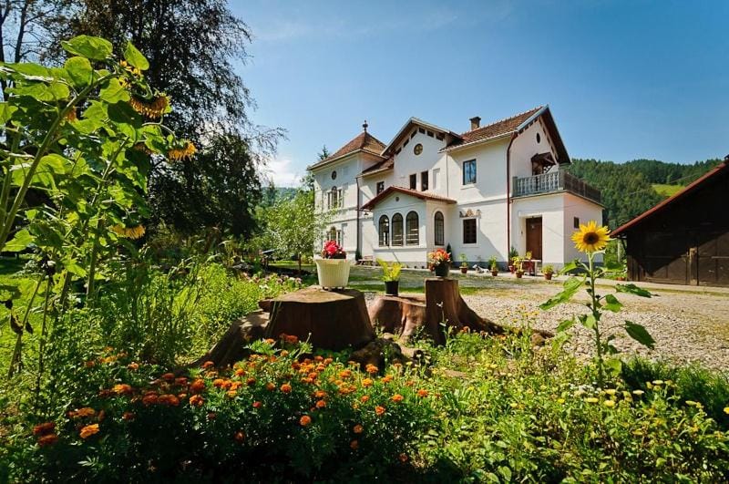 Natural landscape, Summer, Garden, Garden view