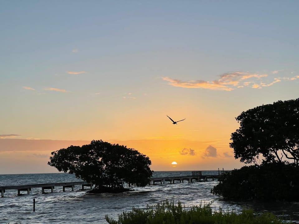 Natural landscape, Sea view