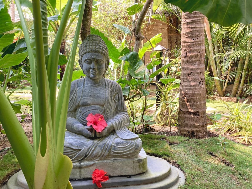 Garden, Garden view
