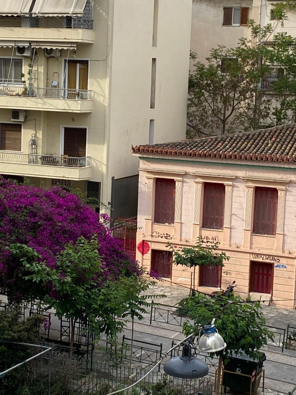 Garden view