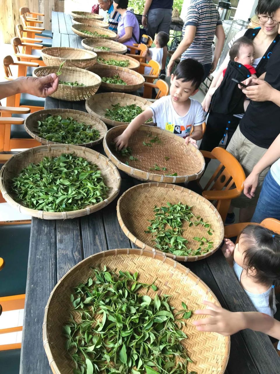 Green Ozland B&B Vacation rental in Taiwan, Province of China