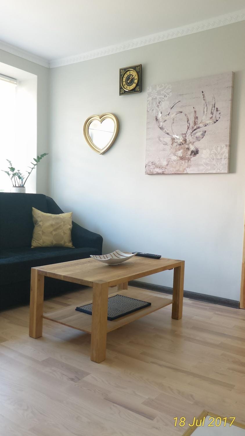 Siauliai Apartments - Ežero Apartment in Lithuania