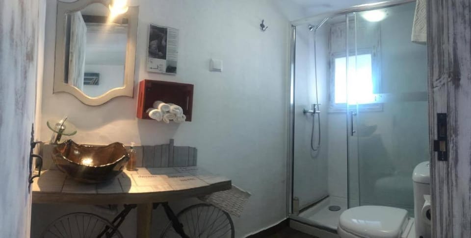 Shower, Toilet, Photo of the whole room, Decorative detail