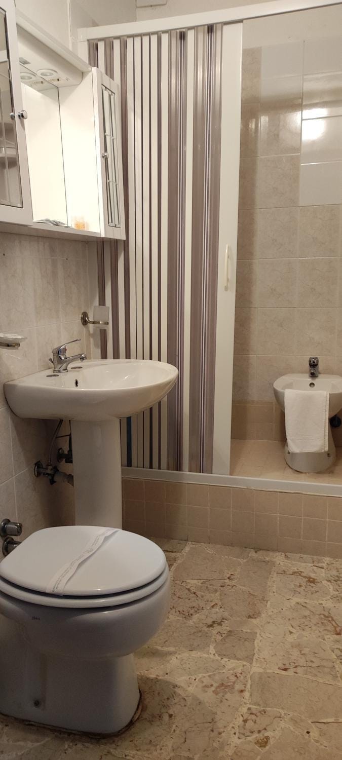 Shower, Bathroom, bidet