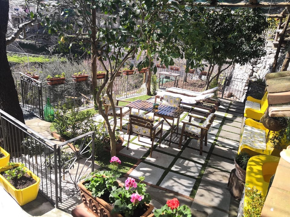 Patio, Garden
