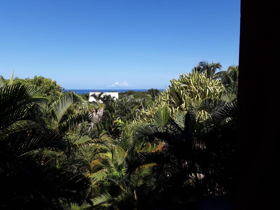Villa et Gites Le Safran - Le Triskell Apartment in Deshaies