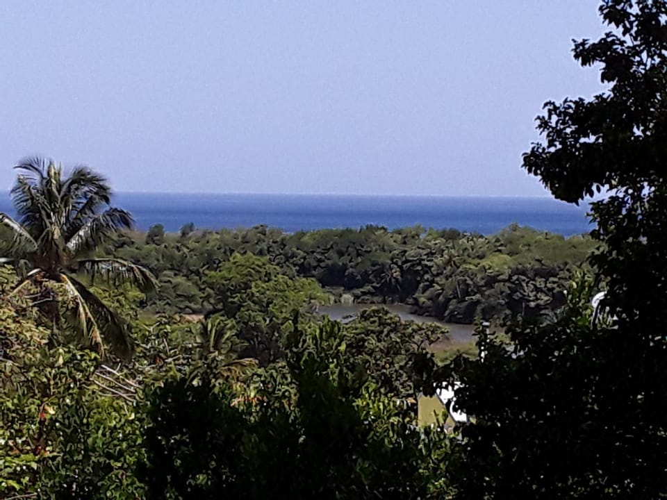 Villa et Gites Le Safran - Le Triskell Apartment in Deshaies