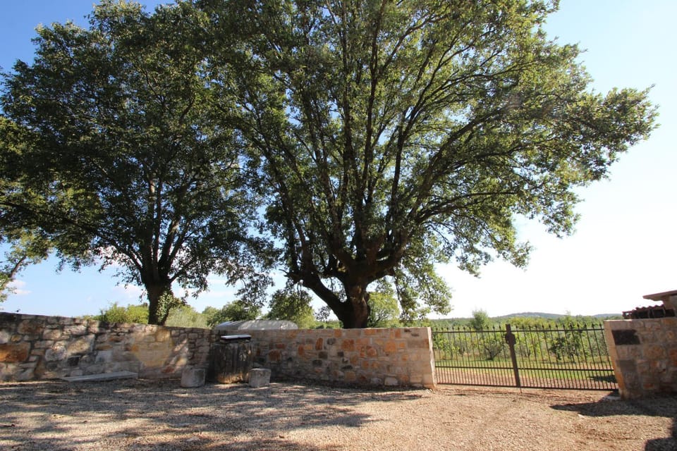 Garden, Other