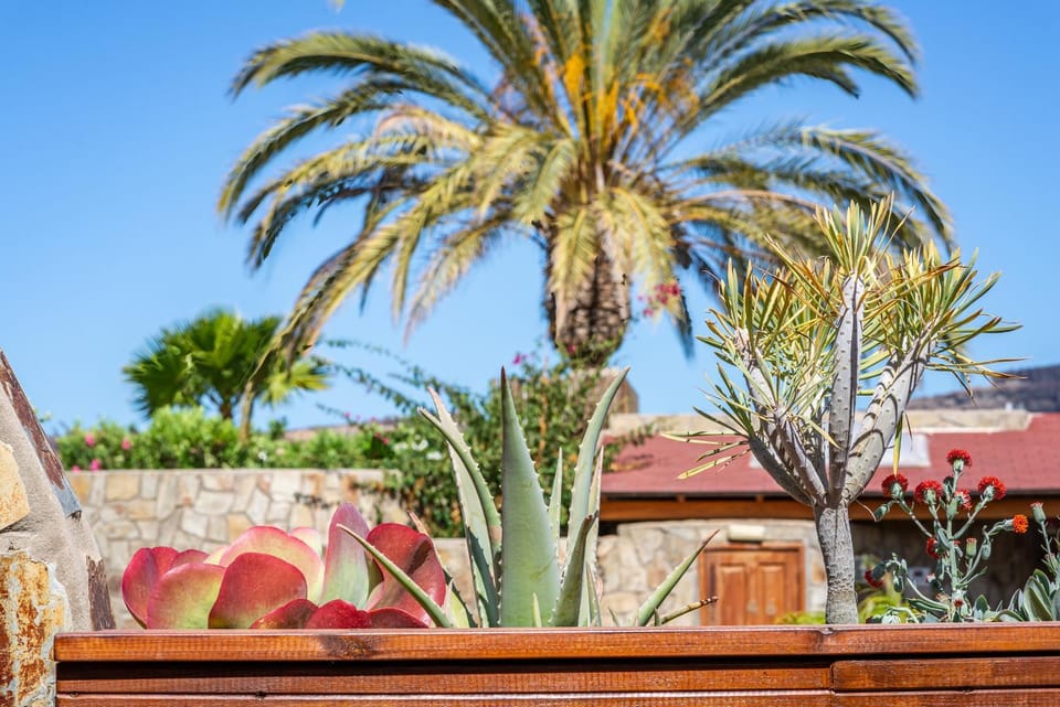 Garden, Decorative detail