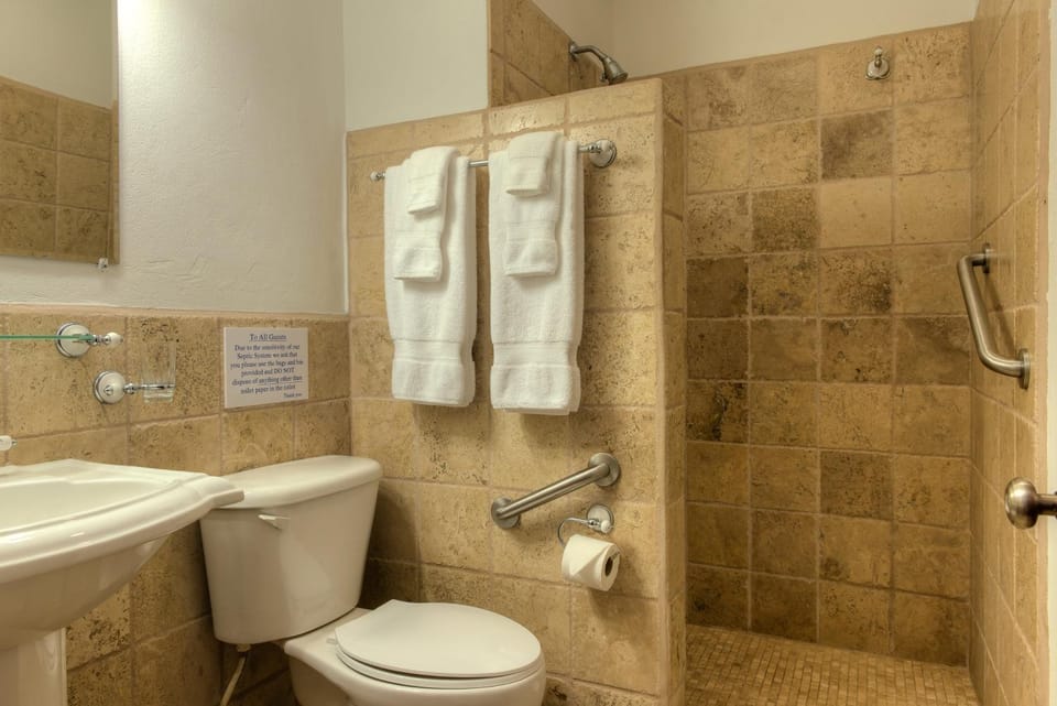Shower, Toilet, towels