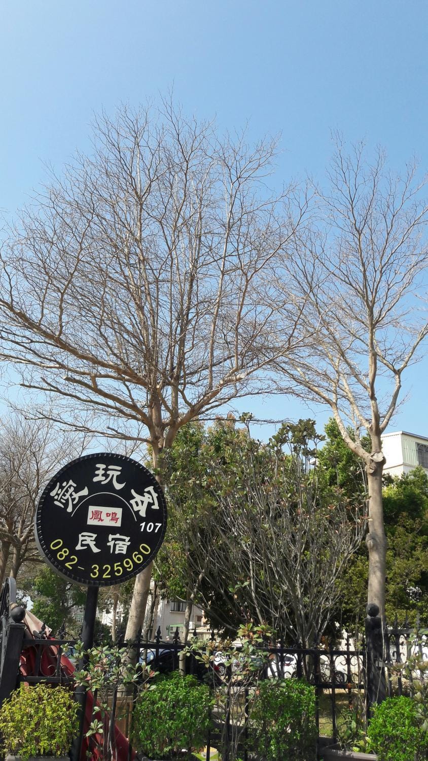 Fengming B&B Bed and Breakfast in Xiamen