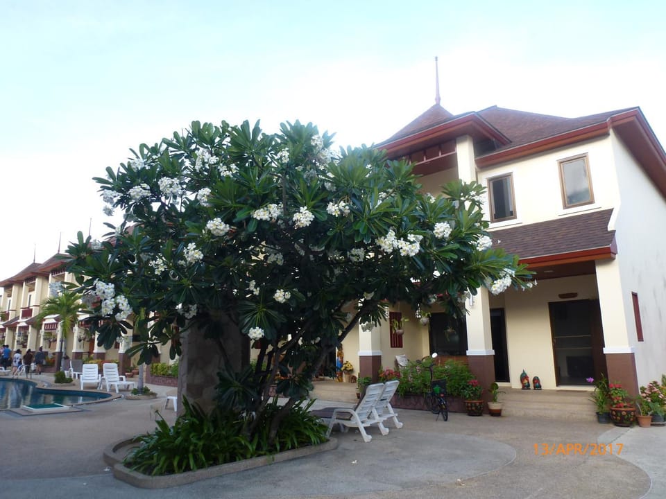 Natural landscape