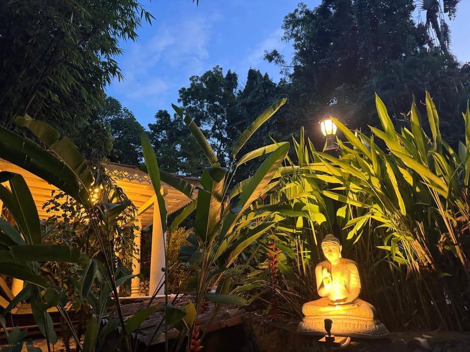 Night, Garden