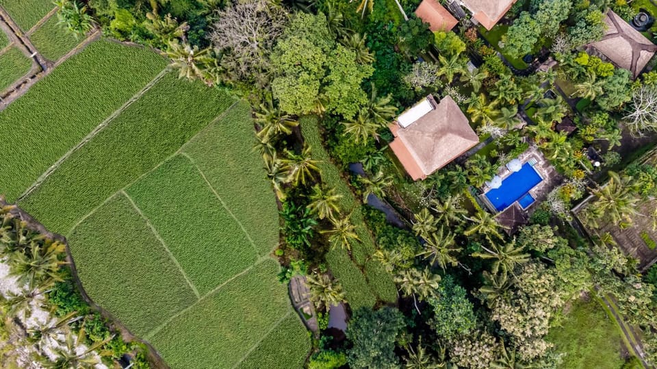 Bird's eye view, Swimming pool