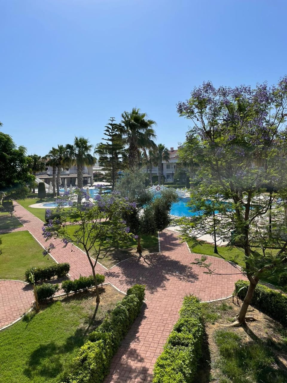 Garden view