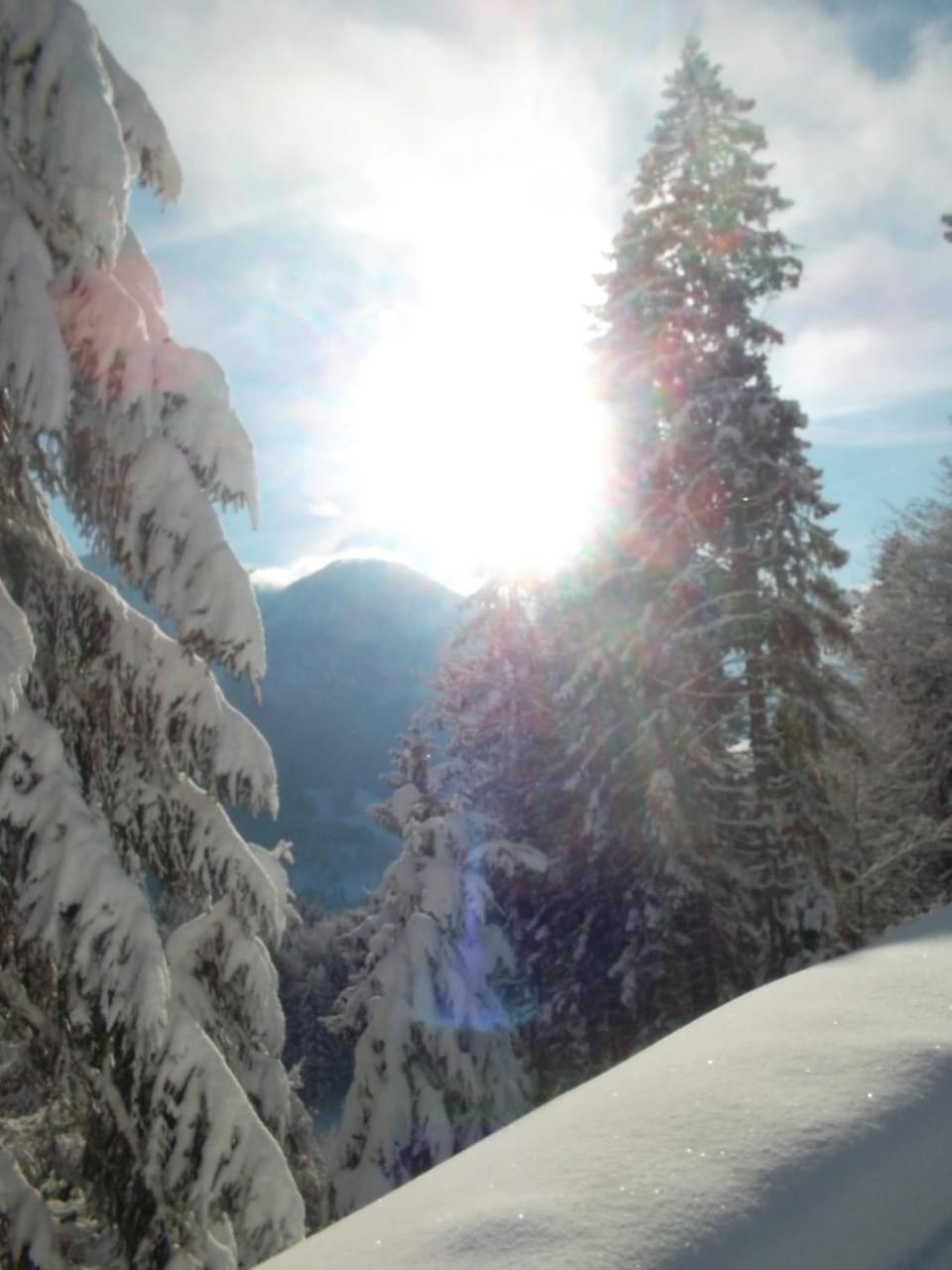 Natural landscape, Winter