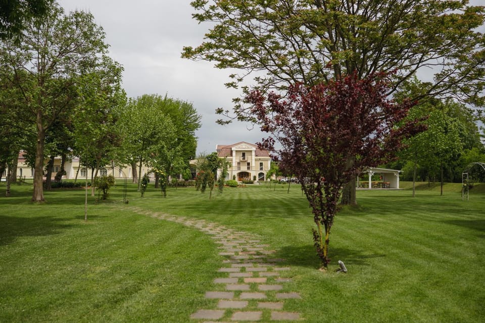 Property building, Spring, Day, Natural landscape, Garden, Garden view