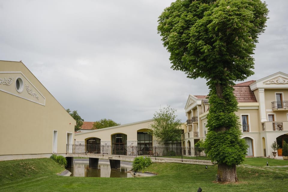 Property building, Spring, Day, Garden, Garden view