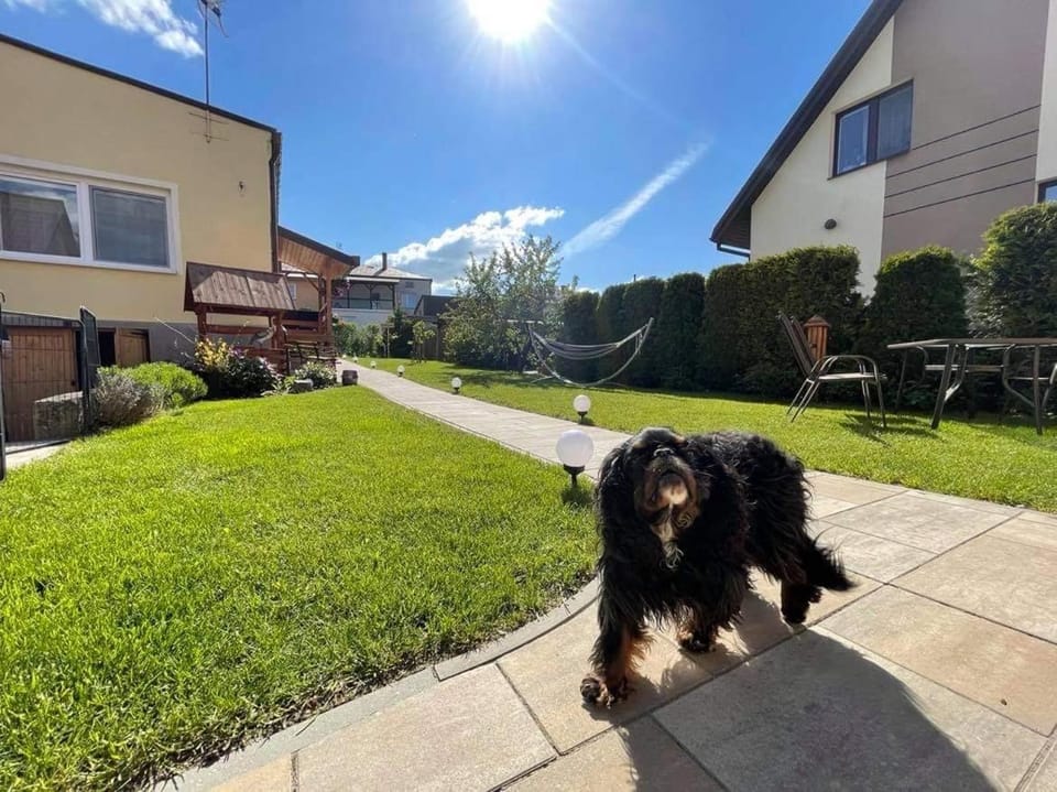 Garden, Garden view, Garden view