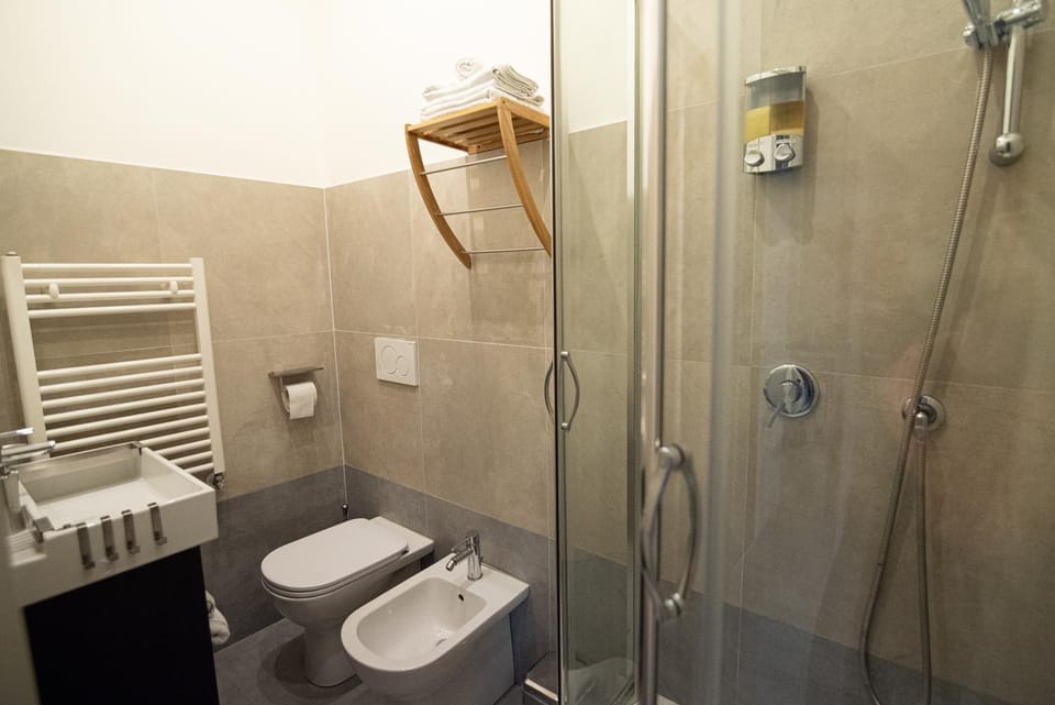 Shower, Toilet, bidet, towels