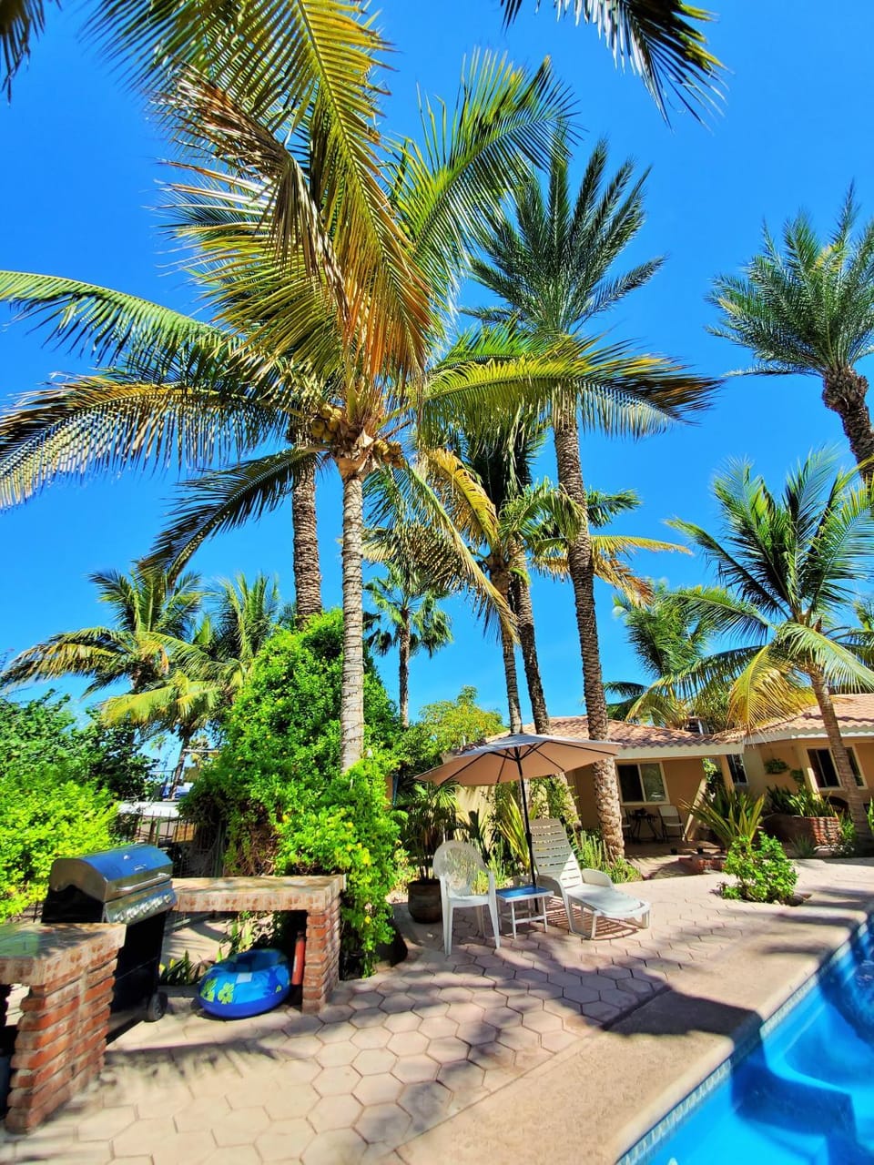 Patio, BBQ facilities, Seating area, Swimming pool