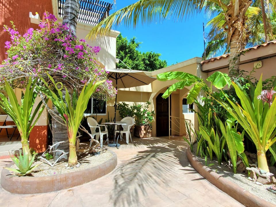 Patio, Garden, Seating area