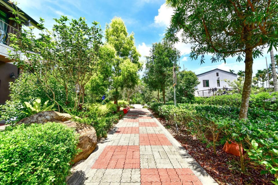 Off site, Summer, Garden