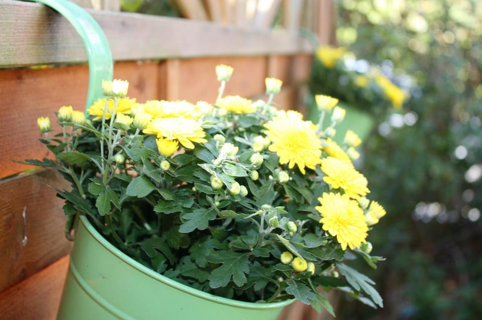 Ferienwohnung Konradi Cuxhaven-Duhnen Apartment in Cuxhaven