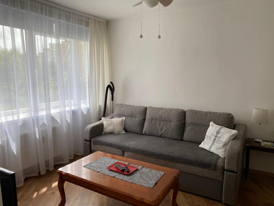 Klaipedas 108 Street Apartment Apartment in Latvia