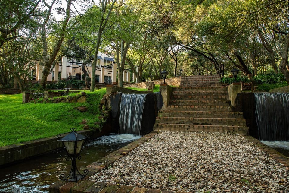 Day, Natural landscape, Garden, Garden view