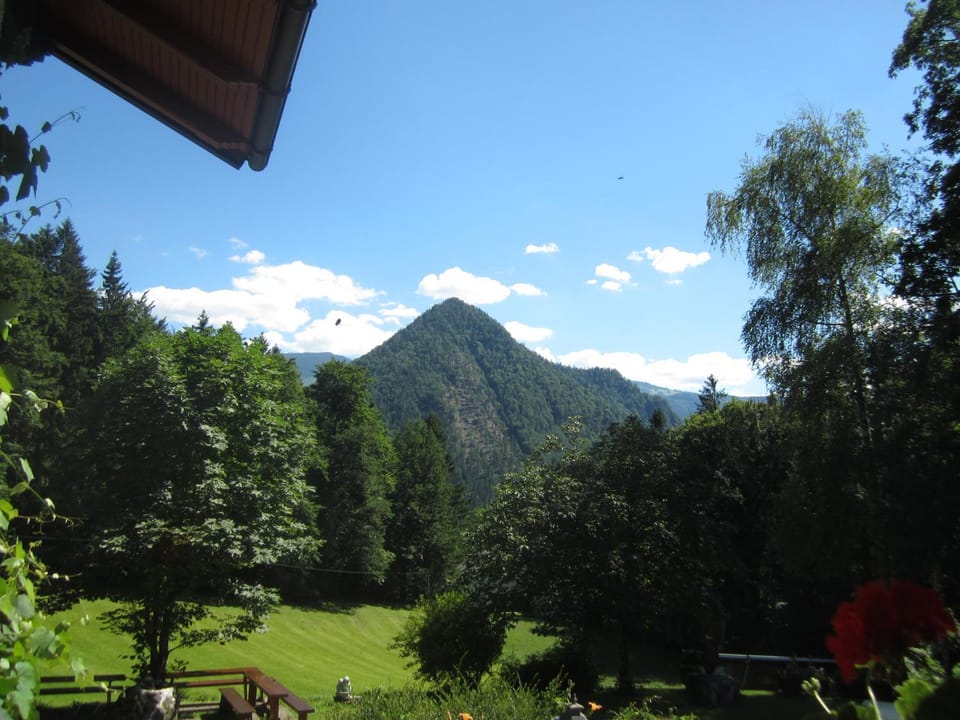 Waldhaus Apartment in Upper Austria
