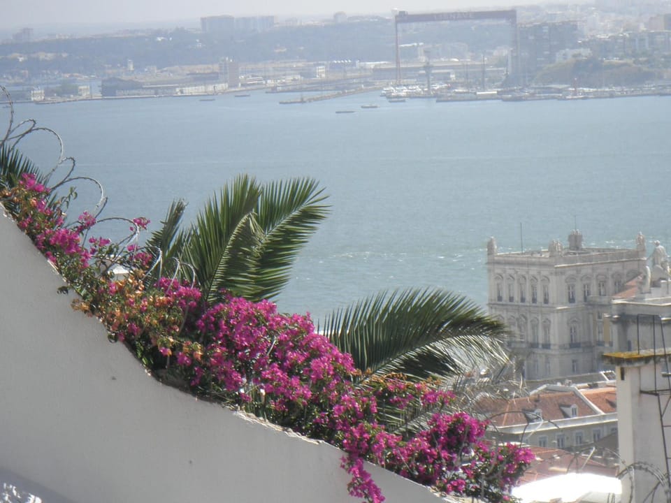 City view
