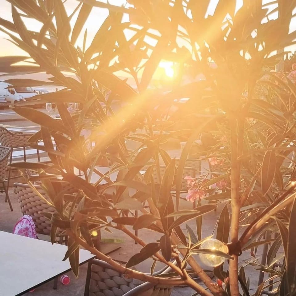 Restaurant/places to eat, Day, Sunset