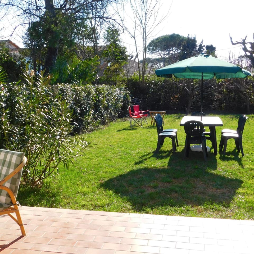 Garden, Garden, Garden view