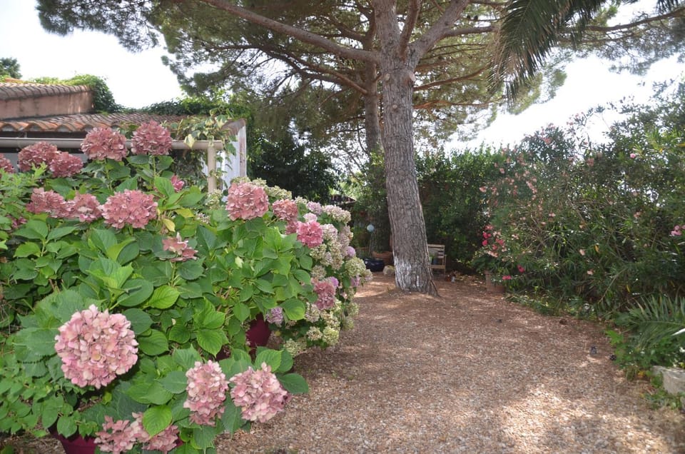 Spring, Garden, Garden view, Breakfast