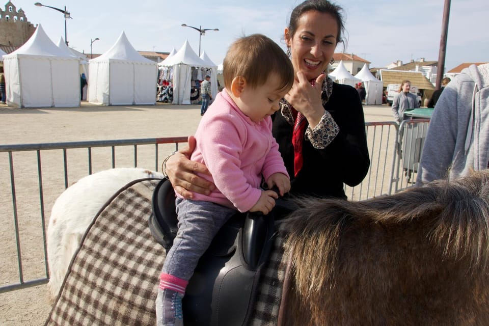 Horse-riding, Animals