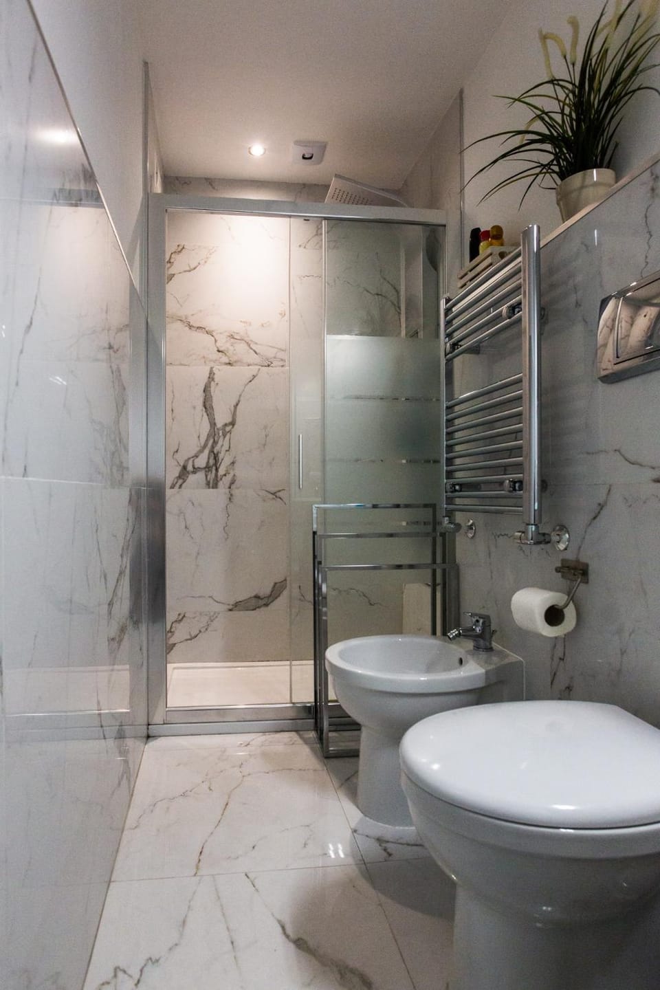Shower, Bathroom, bidet