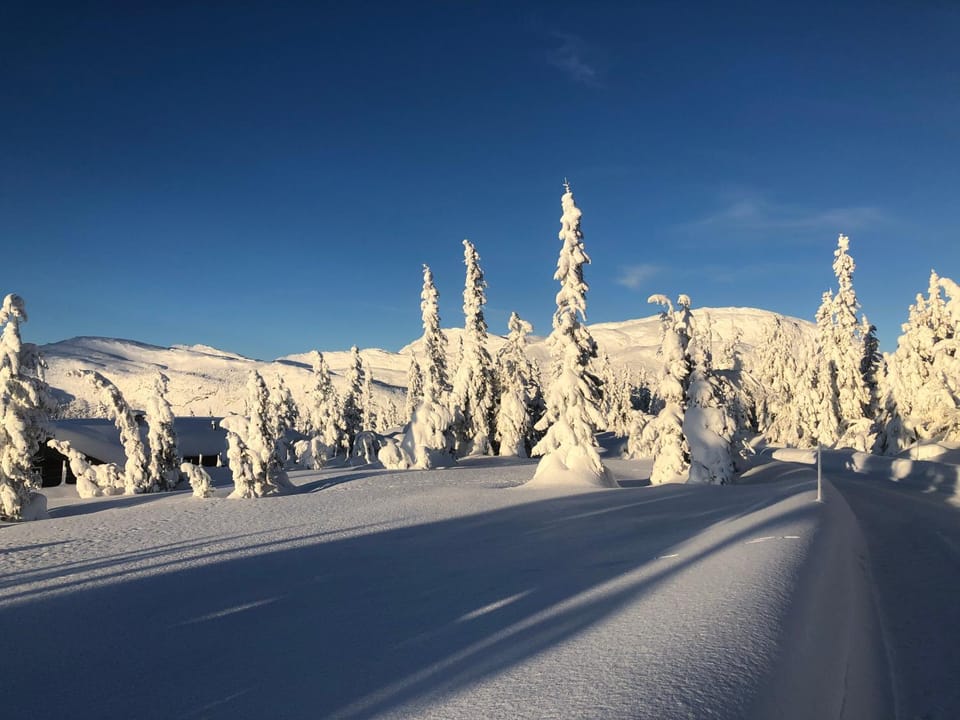 Winter