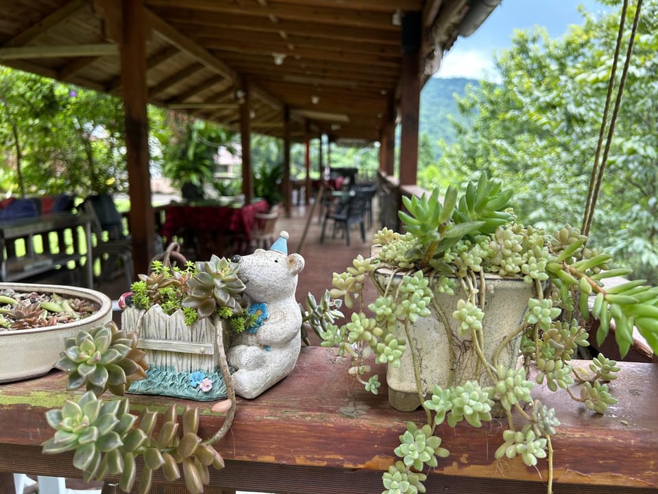 Patio, Balcony/Terrace